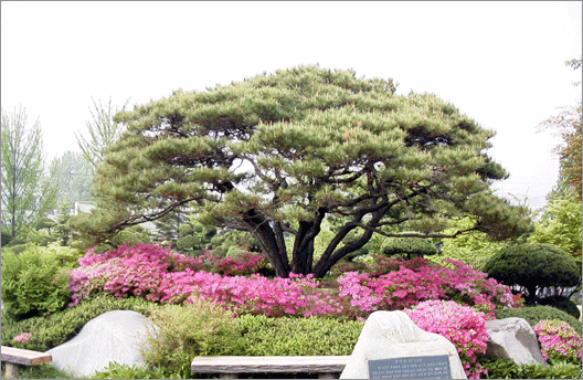 ��õ������� ��û��(�ҳ���) �������